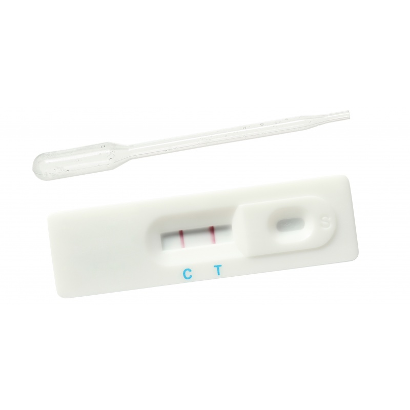 Teste sarcina tip CASETA - Minut