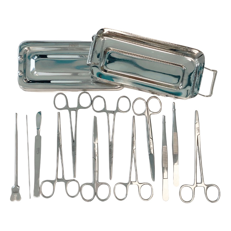 Trusa mica chirurgie otel-inox cu 13 instrumente